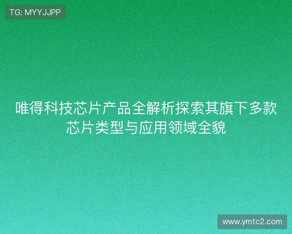 唯得科技芯片产品全解析探索其旗下多款芯片类型与应用领域全貌